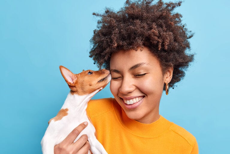 Why Does My Dog Eat My Hair? 7 VetVerified Reasons Hepper