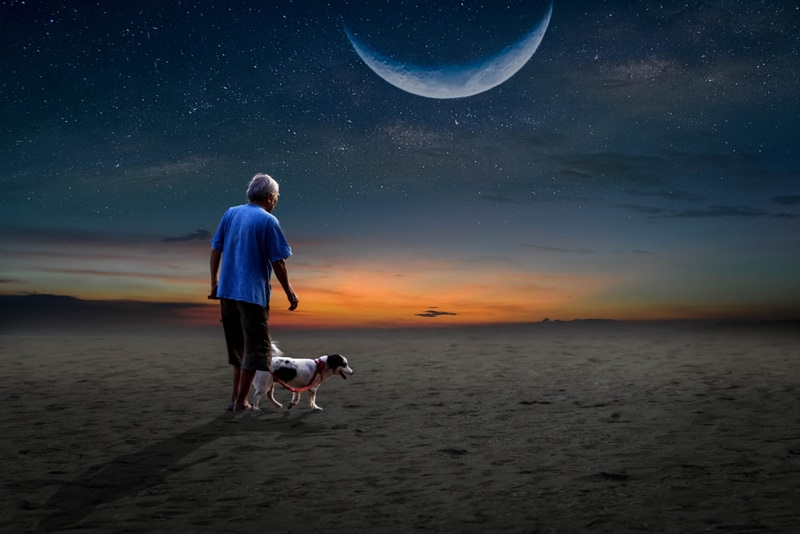 man and his dog watching the moon