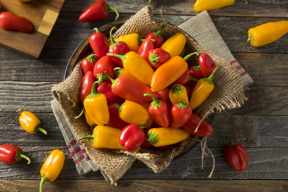 Raw Organic Mini Sweet Peppers