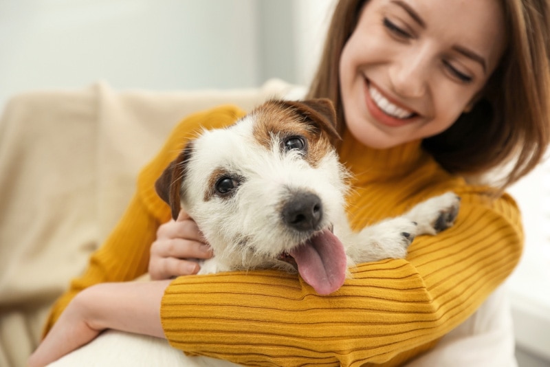 smiling woman with her cute jack russell terrier dog