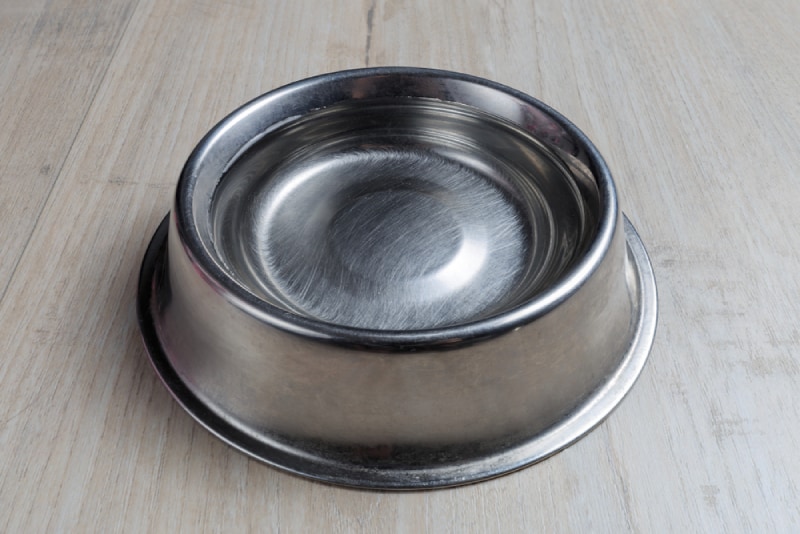 steel pet water bowl