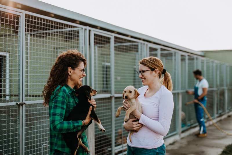 two woman adopting dogs at animal shelter