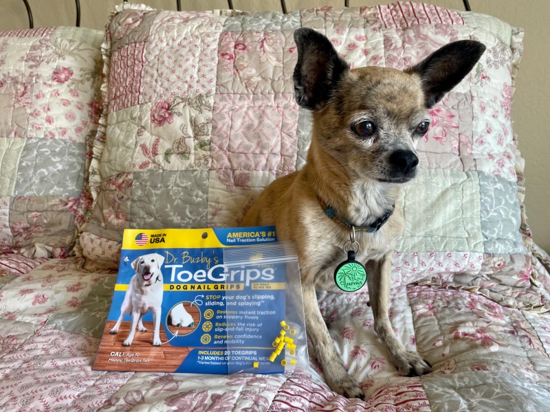 Using a Quality of Life Scale for Dogs - Dr. Buzby's ToeGrips for Dogs