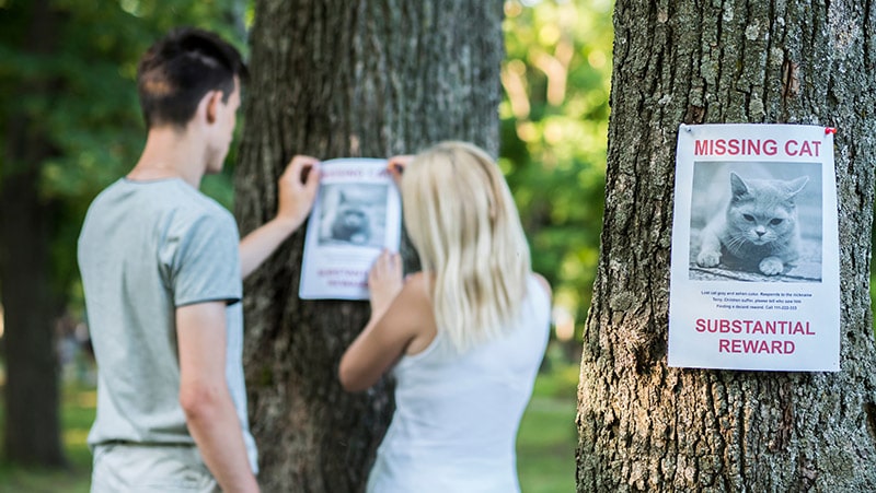 young couple putting up missing pet banners