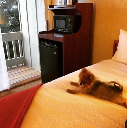 Best Western Pier Point Inn