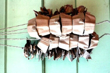 Egg Carton Bird Foraging Toy