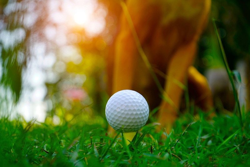 Golf ball on tee