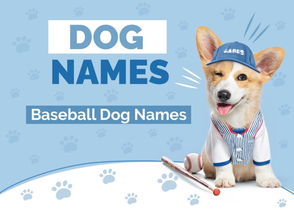 Baseball Dog Names