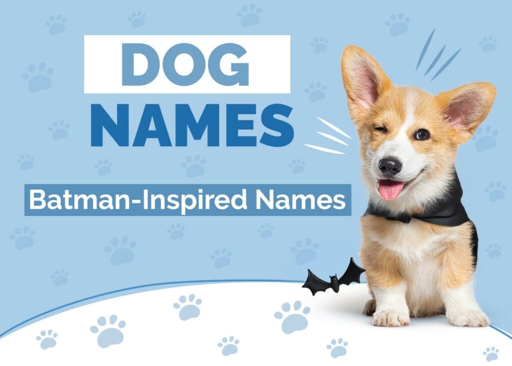 Batman-Inspired Dog Names for Your Awesome Pup