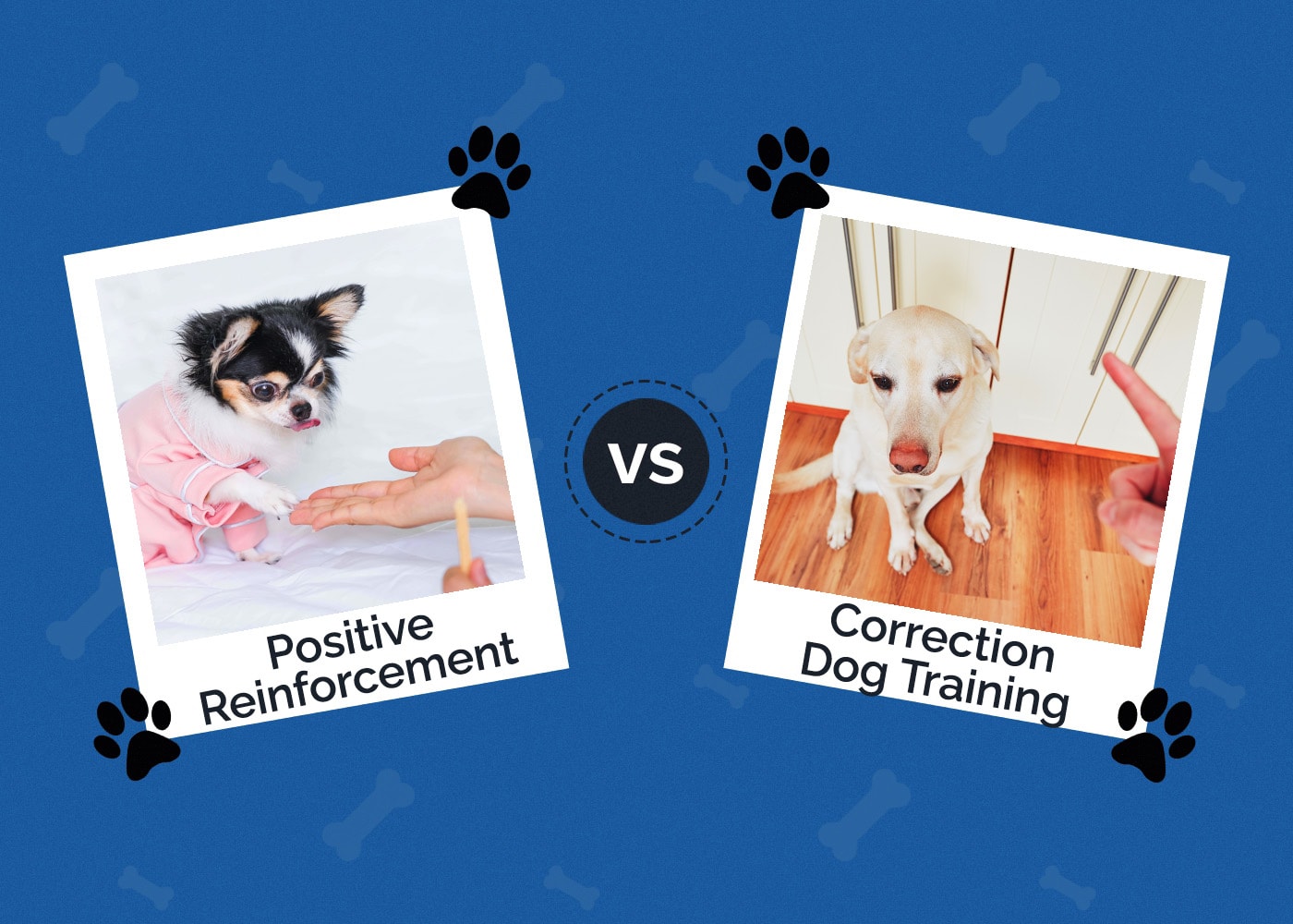 Positive Reinforcement vs Correction Dog Training