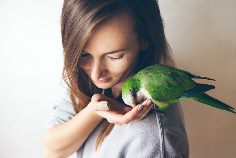 Woman giving treat