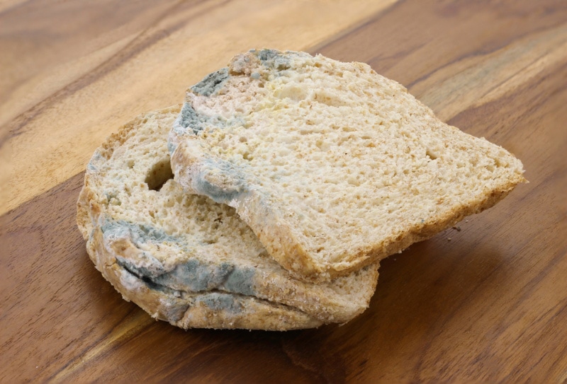 moldy bread on wooden table