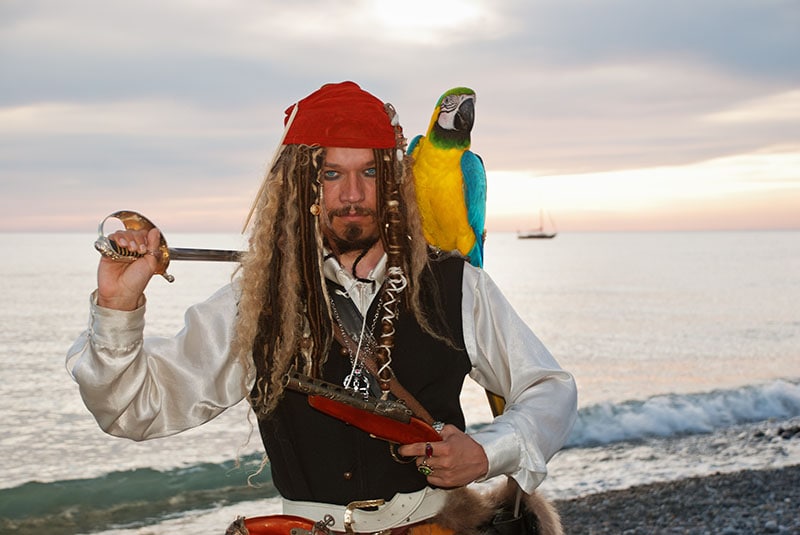 pirate with a parrot on the seashore
