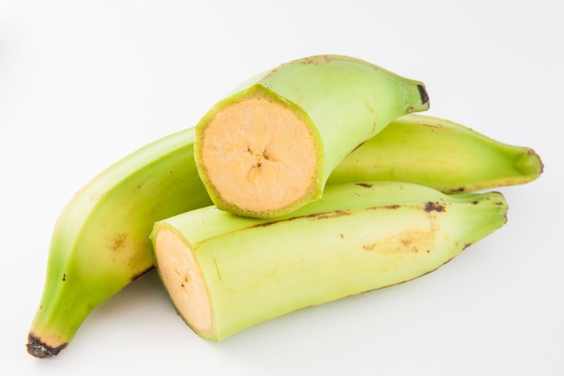 plantains in white background