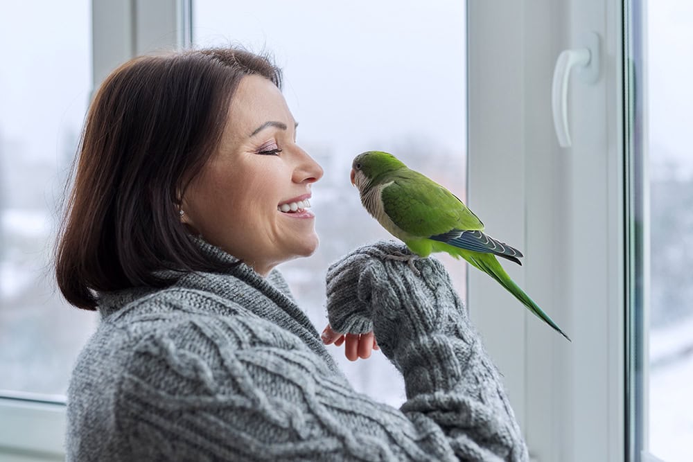 woman talking to her green quaker parrot
