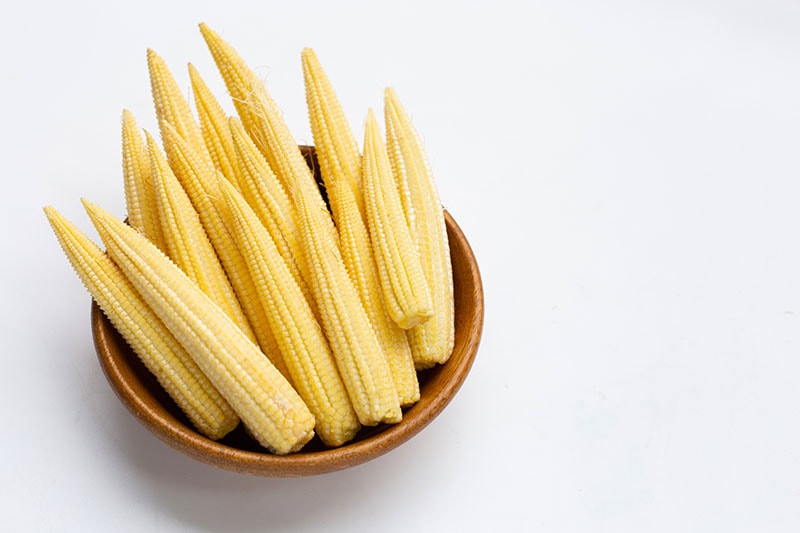 Baby corn in wooden bowl on white background