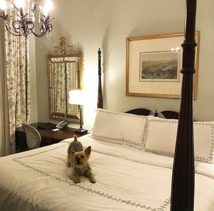 Bienville House