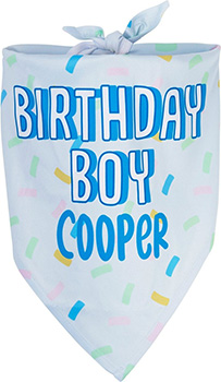Birthday Bandana