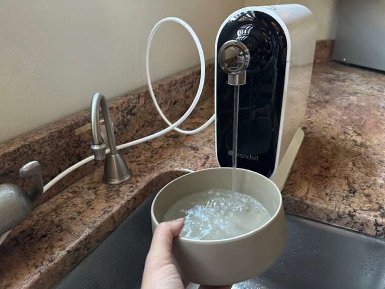 Brondell Cypress Water Filtration System Review 2024 Our Expert’s