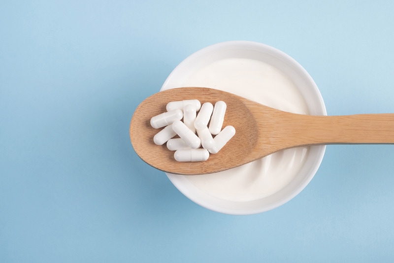 Capsules probiotic