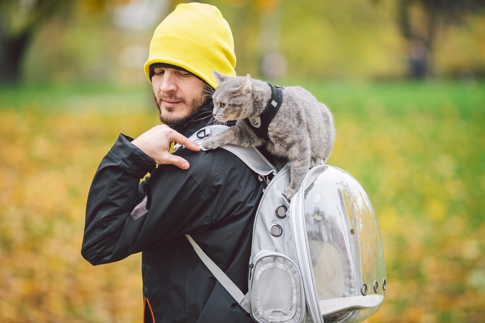 Cat wearing a vest with his owner outside with a traveling backpack