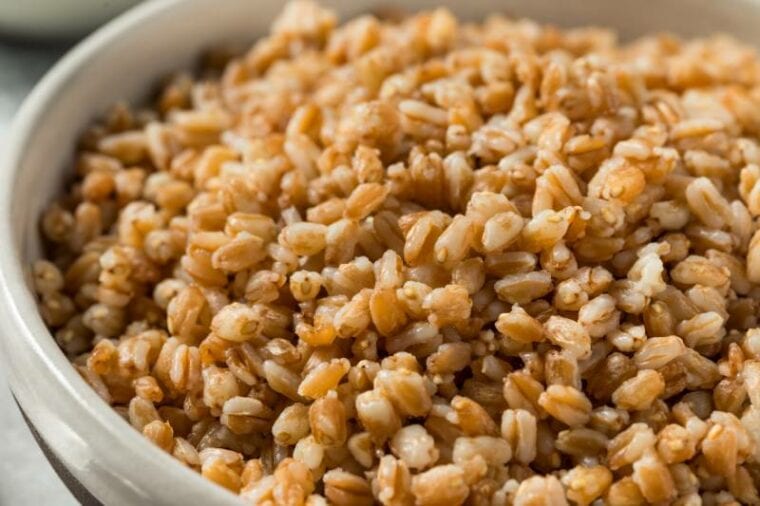 Can Dogs Eat Farro? Vet Reviewed Health Concerns & Advice Hepper