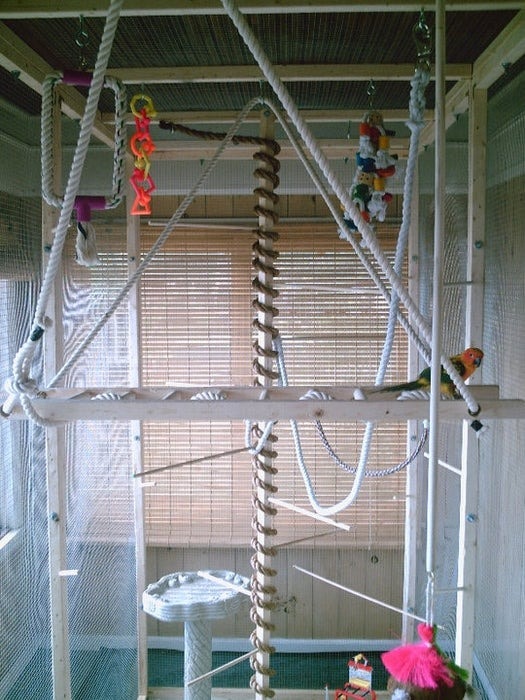 Walk-In Aviary