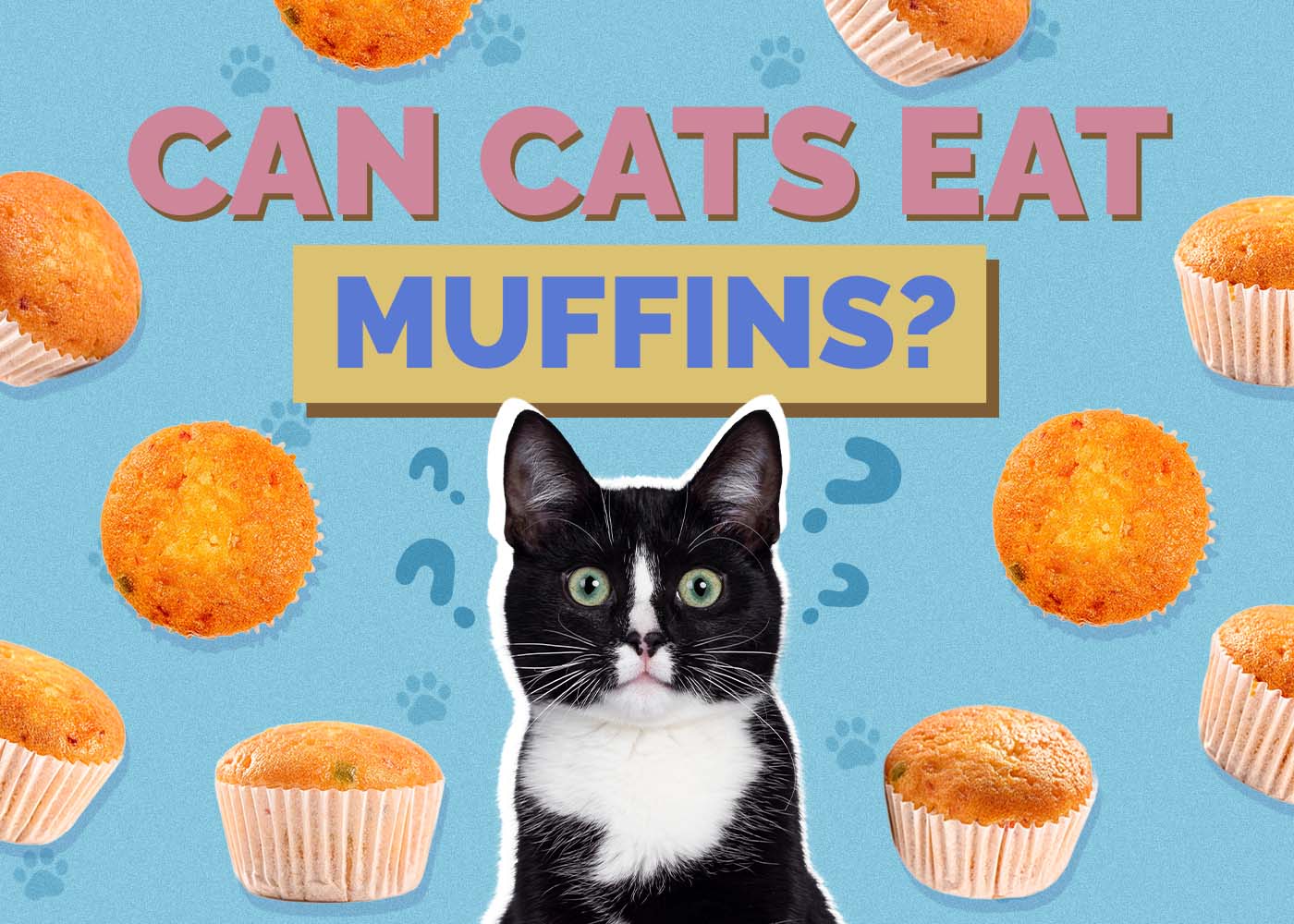 Hepper_Can Cats Eat_Muffins 2024