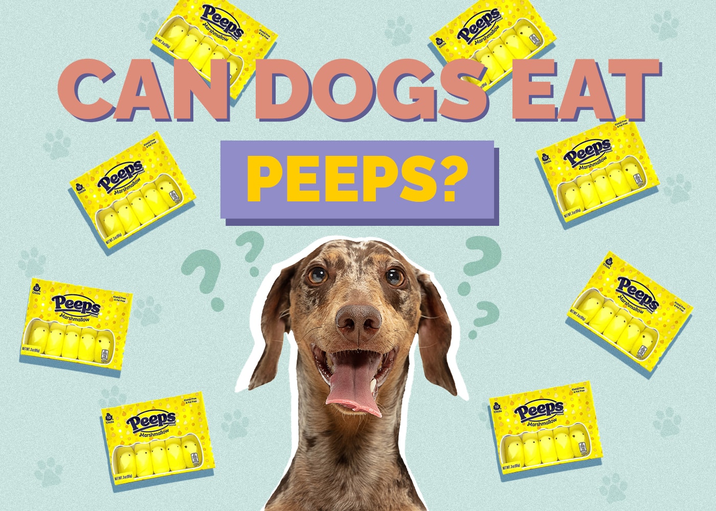 Can Dogs Eat Peeps