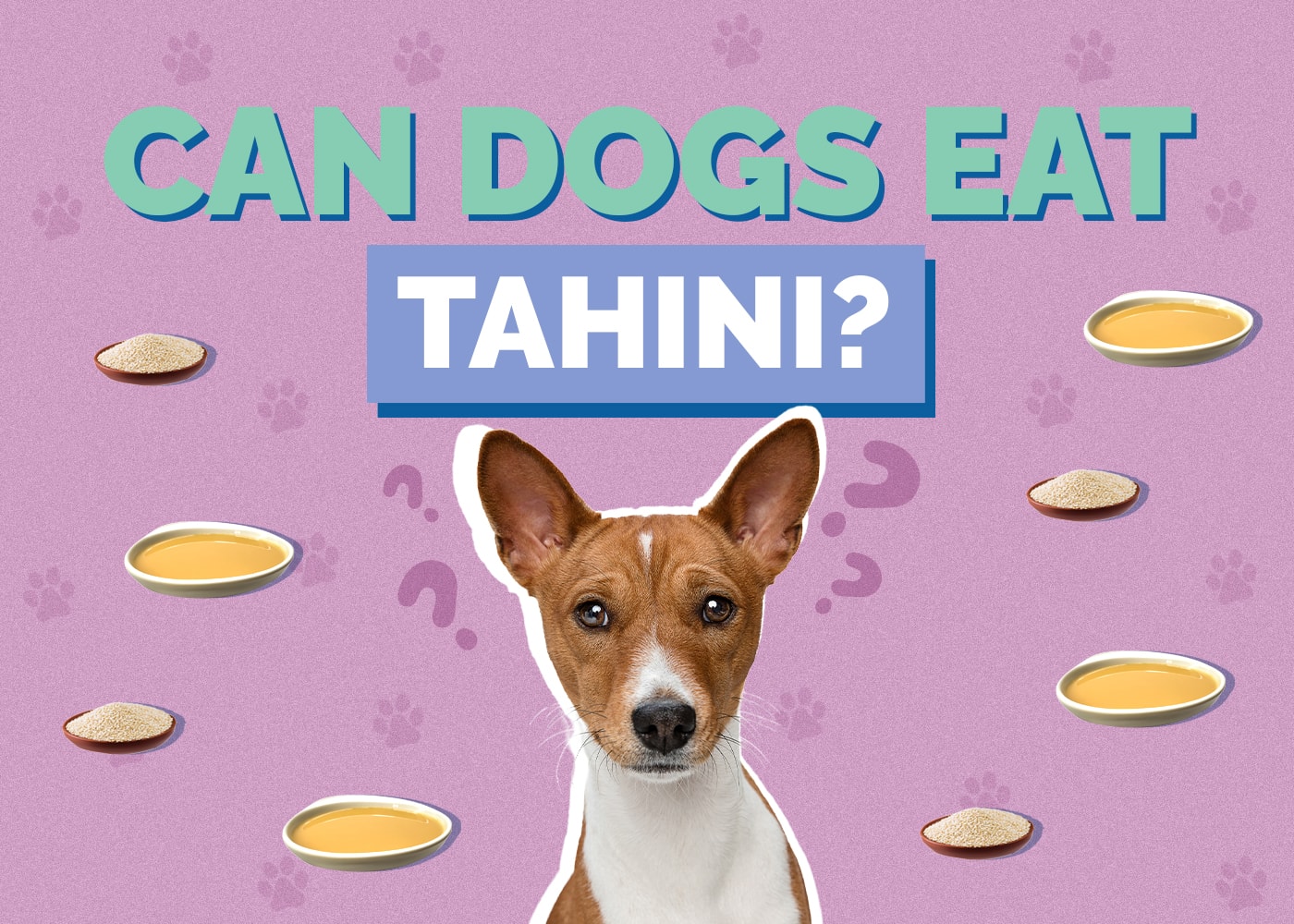 Can Dogs Eat Tahini