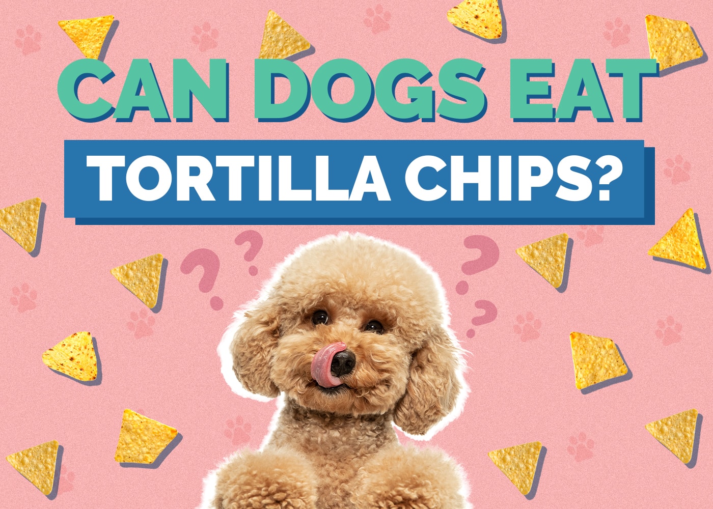 Can Dogs Eat Tortilla Chips