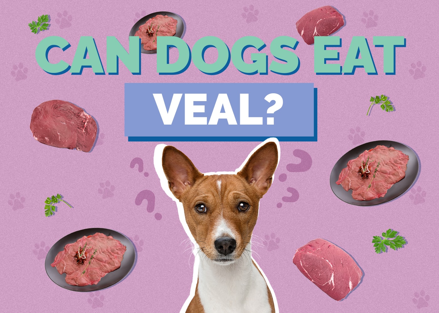 Can Dogs Eat Veal