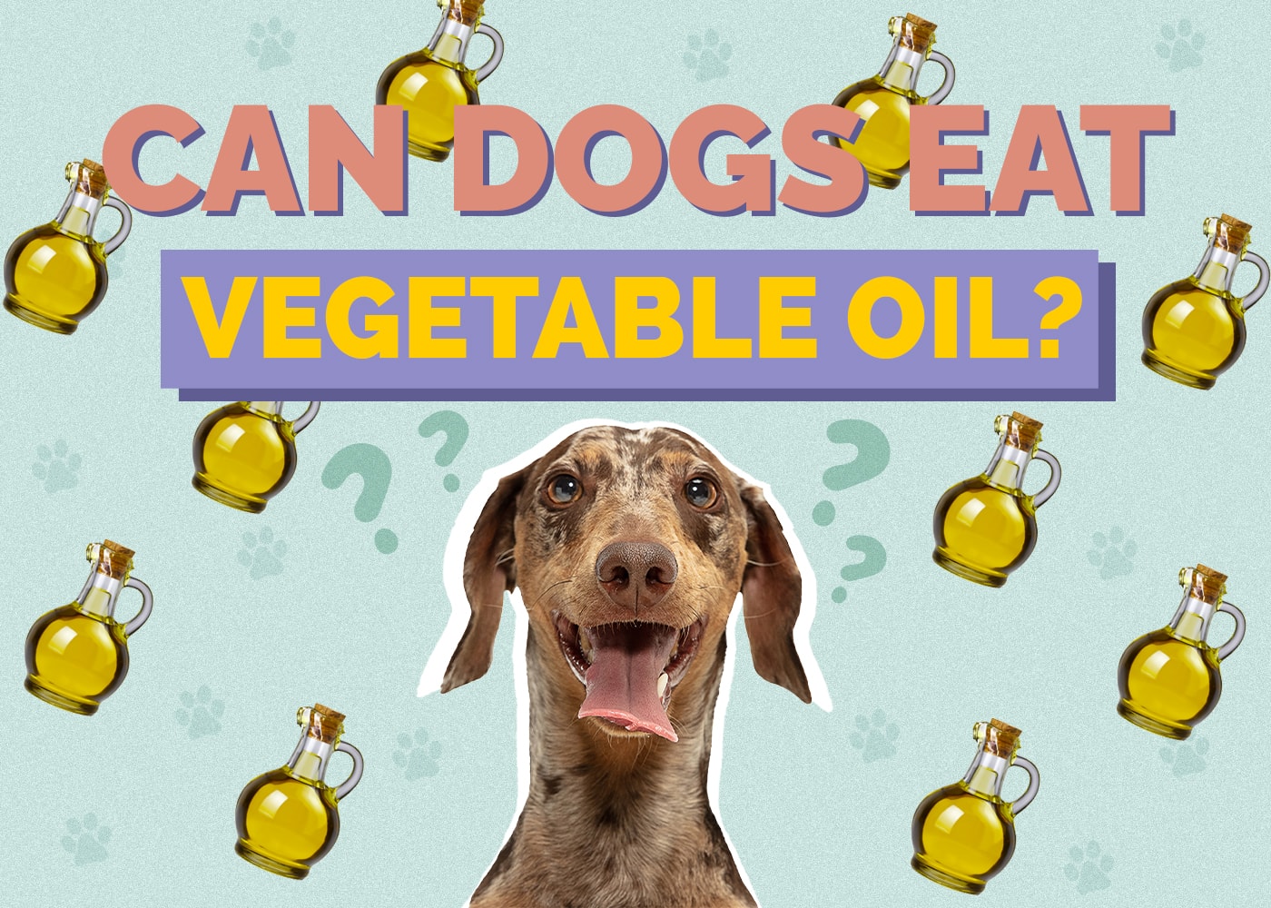 Can Dogs Eat Vegetable Oil