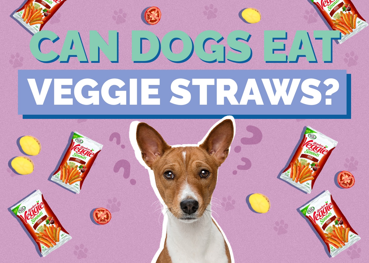 Can Dogs Eat Veggie Straws