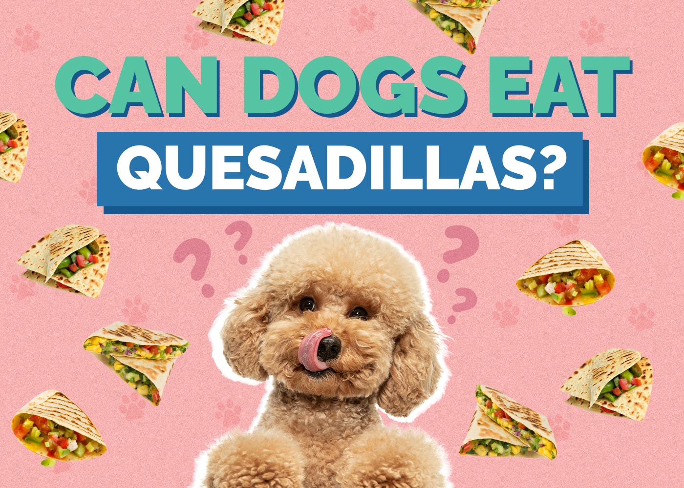 Can Dogs Eat Quesadillas