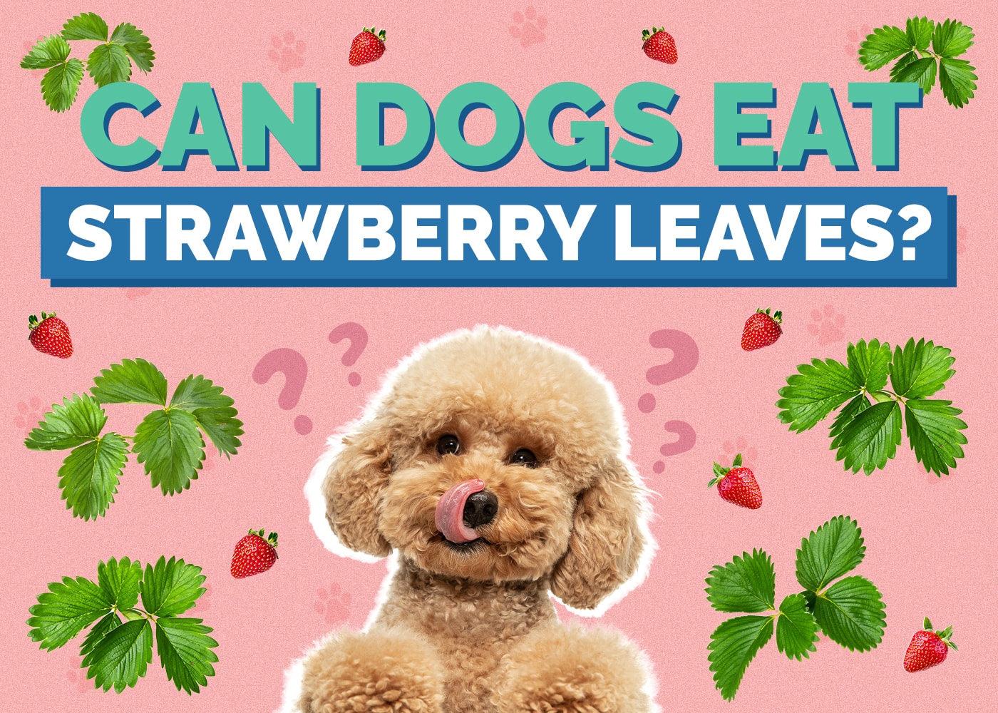 Can Dogs Eat Strawberry Leaves