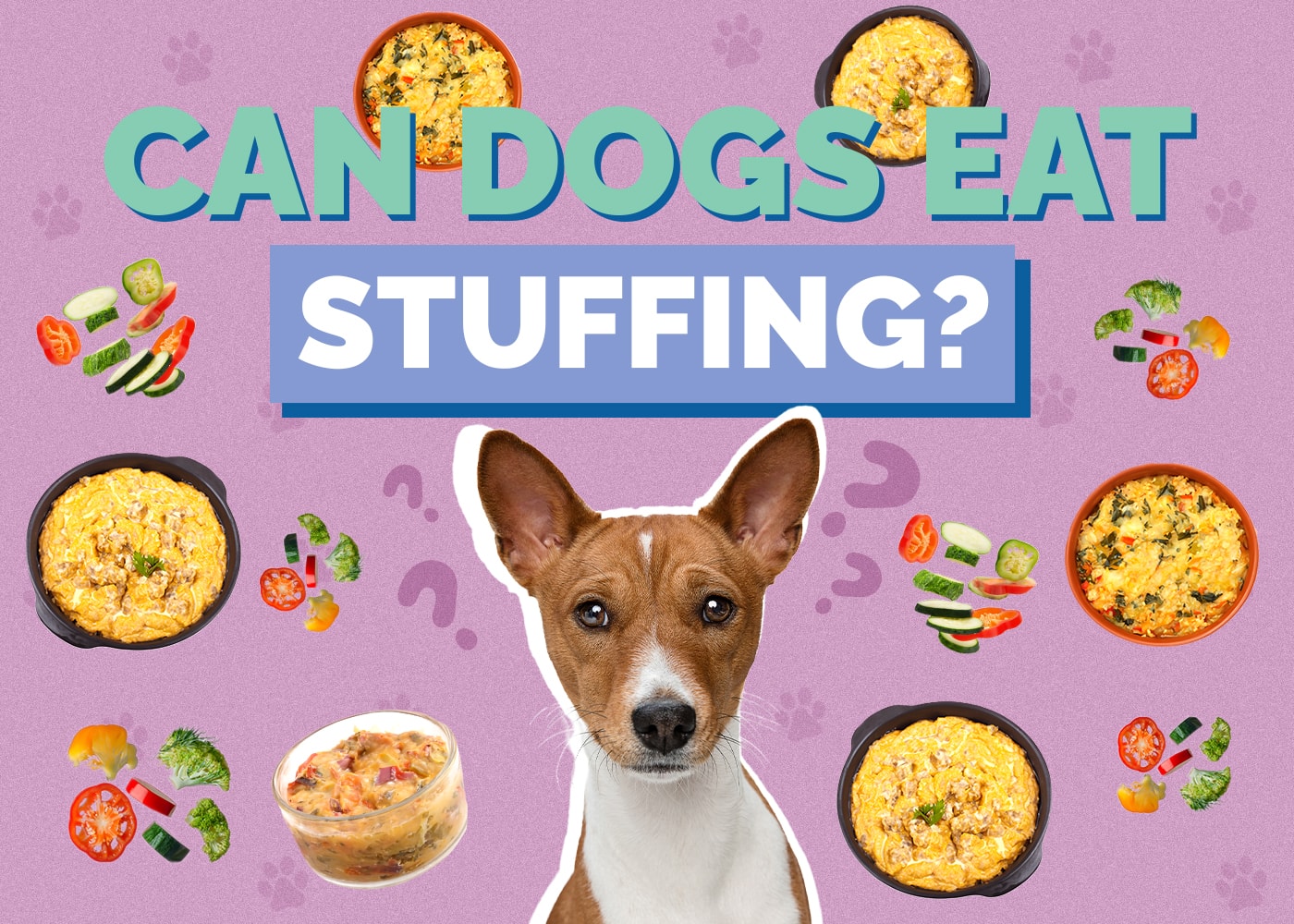 Can Dogs Eat Stuffing