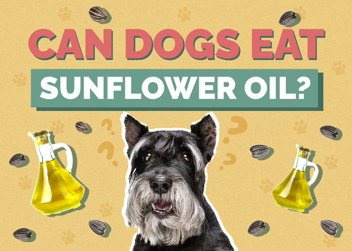Can Dogs Eat Sunflower Oil