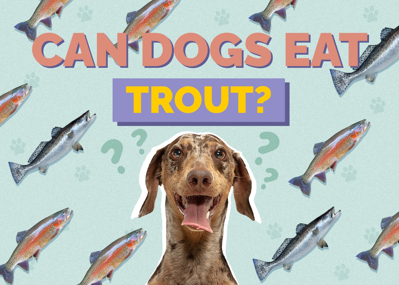 Can Dogs Eat Trout