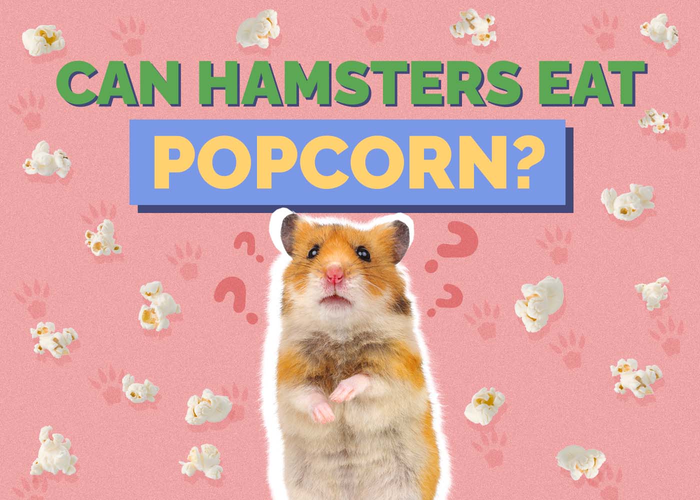Hepper_Can Hamster Eat_Popcorn