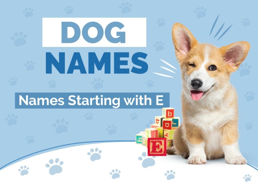 Dog Names Starting With E for Your Enchanting Pup