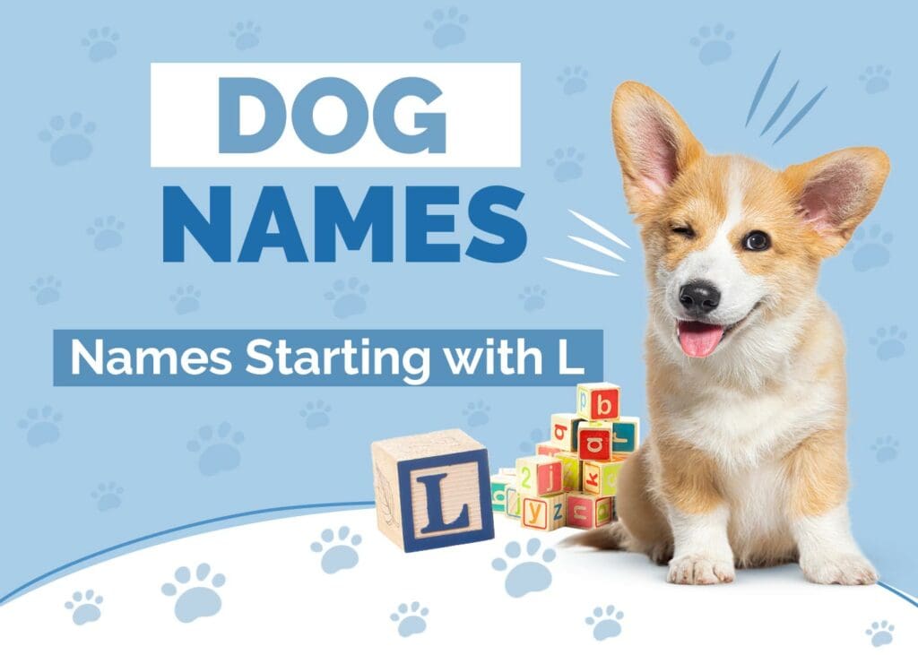 Dog Names Starting With L for Your Lovely Pup