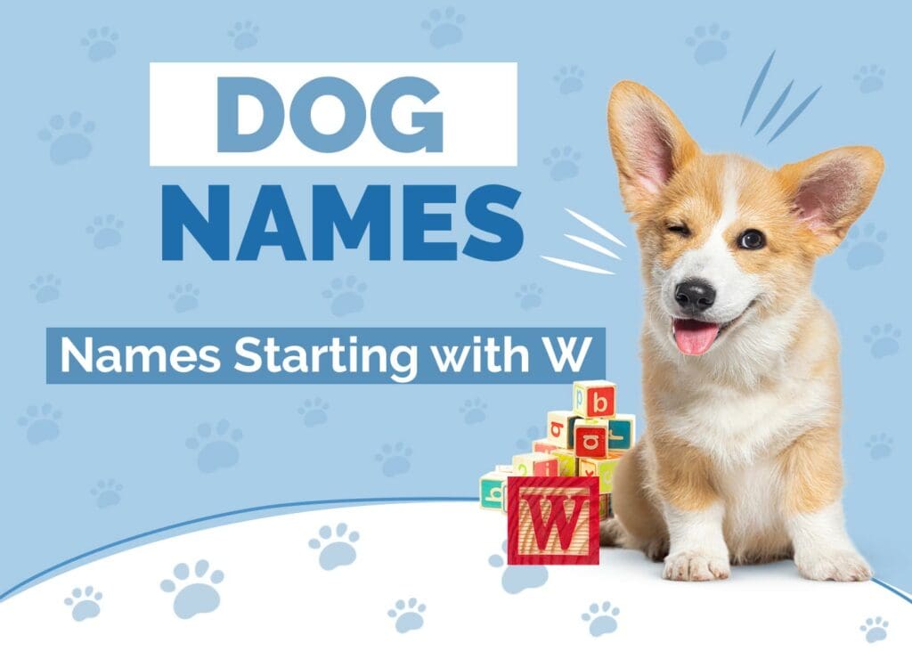 Dog Names Starting With W for Your Adorable Pup
