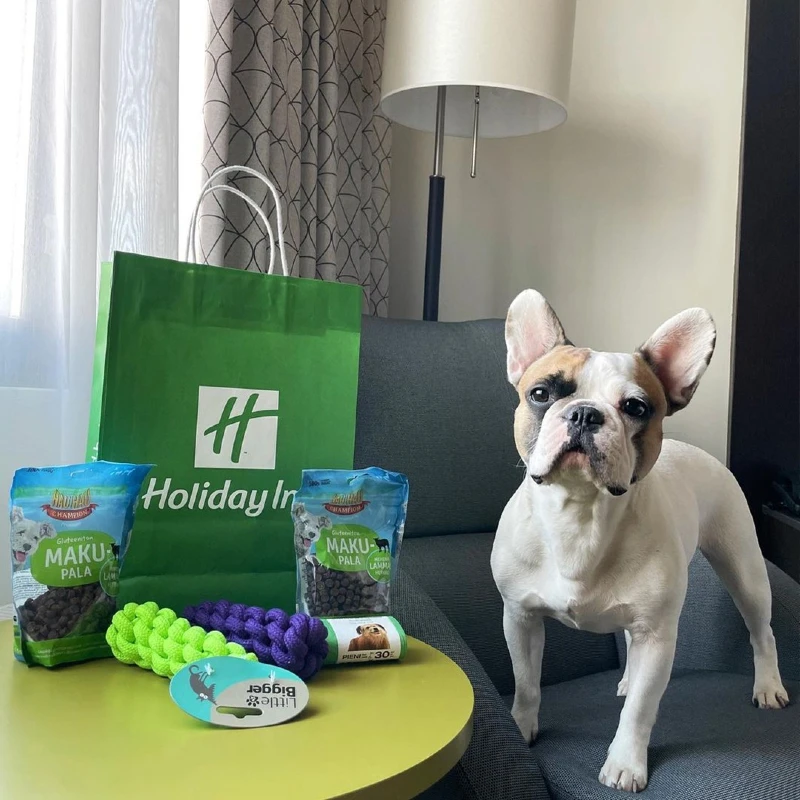 Holiday Inn - Johnson City, TN