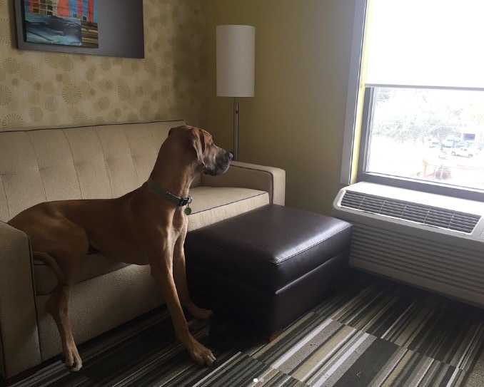 Home2 Suites by Hilton, Gainesville