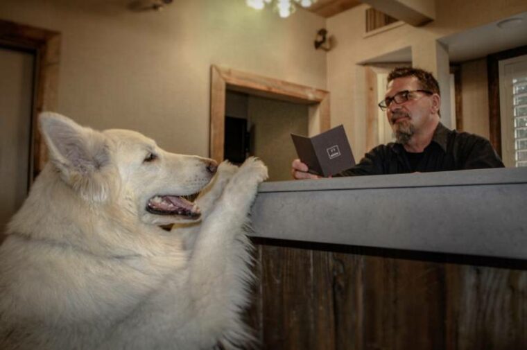 8 PetPleasant Inns in South Lake Tahoe (2024 Information) LiliPetCare