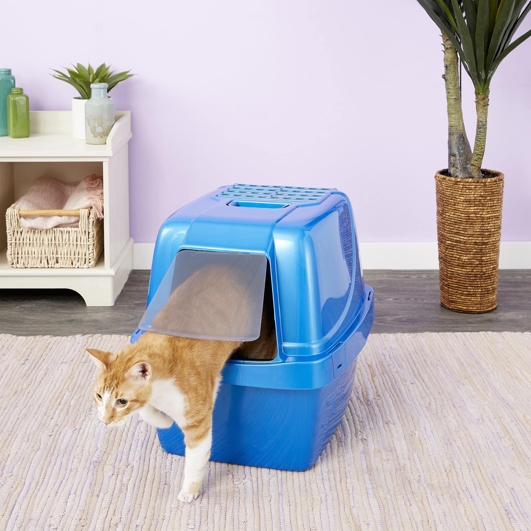 7 Best Sifting Litter Boxes 2024 Reviews & Top Picks Hepper