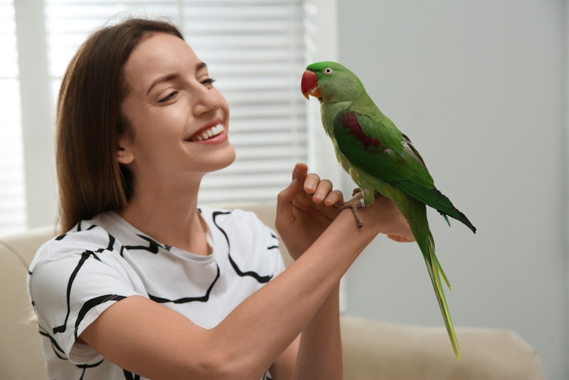 Woman holding an Alexandrine parakeet