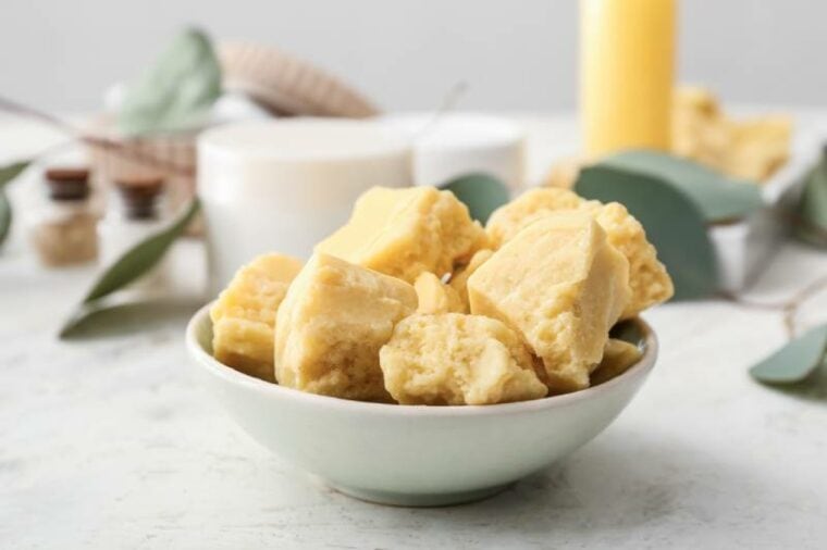 Can Dogs Eat Cocoa Butter? VetApproved Facts & FAQ Hepper