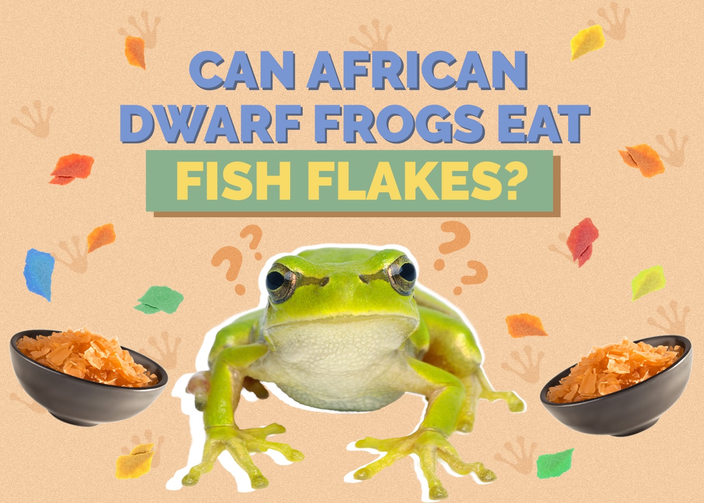 Can African Dwarf Frogs Eat Fish Flakes